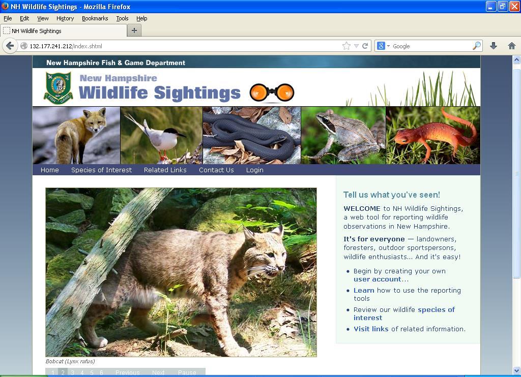WHAT S NEW? NH Wildlife Sightings How to find Site: http://nhwildlifesightings.unh.edu/ or google NH Wildlife Sightings.