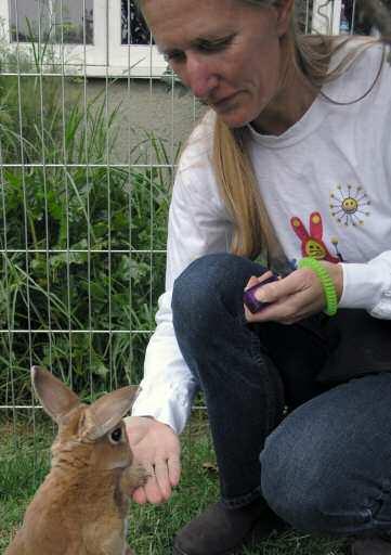 Clicker training teaches the bunny that he can cause you to click, and then give him a treat, through his own actions.