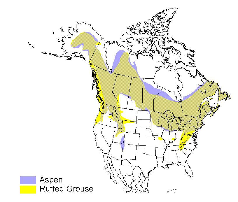 Range of Ruffed Grouse and Aspen In MD: