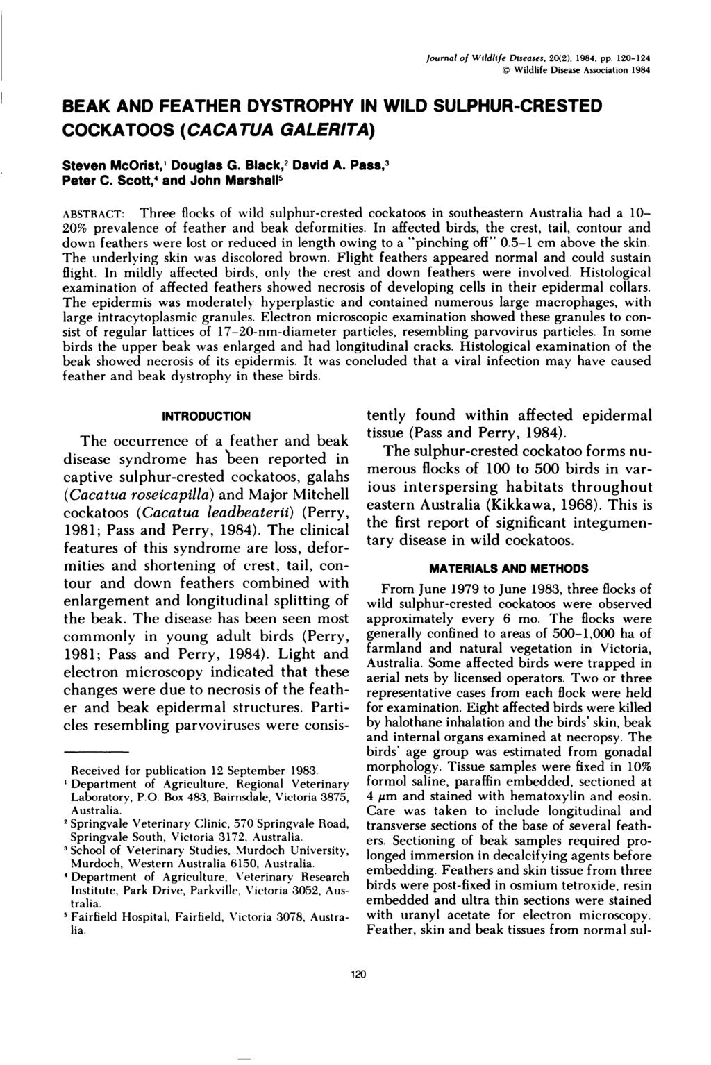 Journal of Wildlife Diseases. 20(2), 1984, pp. 120-124 Wildlife Disease Association 1984 BEAK AND FEATHER DYSTROPHY IN WILD SULPHUR-CRESTED COCKATOOS (CACATUA GALERITA) Steven McOrist, Douglas G.