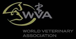 WVA Activities in the field of