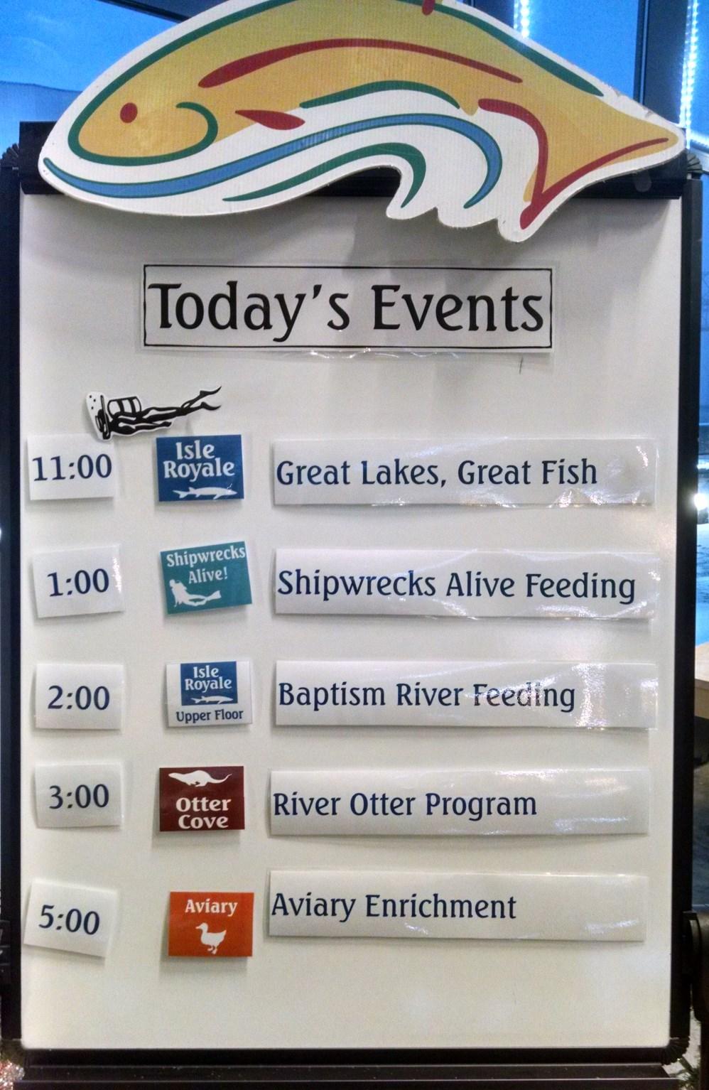 Before we start: Each day the aquarium has special shows.