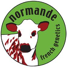 Why crossbreed with Normande & Montbeliarde?