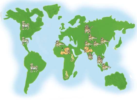 Big Cat Continents This world map shows where different wild cats live. Find each cat on the map. Next to each cat s picture, write the name(s) of the continent(s) where that cat can be found.
