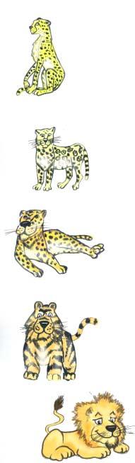 cheetah spots of each of the five cats to go above jaguar label spots of each of the five