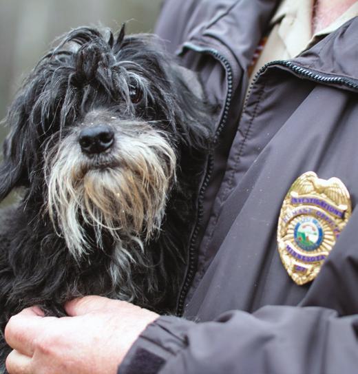 expertise to support humane cases that result in the seizure or surrender of animals. Animal Humane Society removed 806 animals from dangerous or unhealthy conditions.