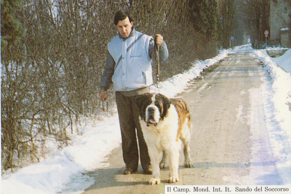 Dog and Man: Quo vadis?