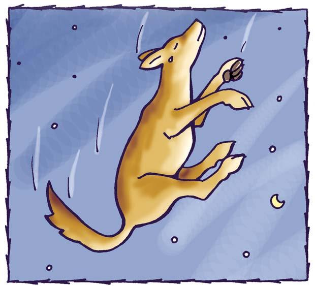 He begged the star to return him to Earth. He missed the rock outside his house, and he missed the ground. When they had reached the top of the sky, the star let go of Coyote.