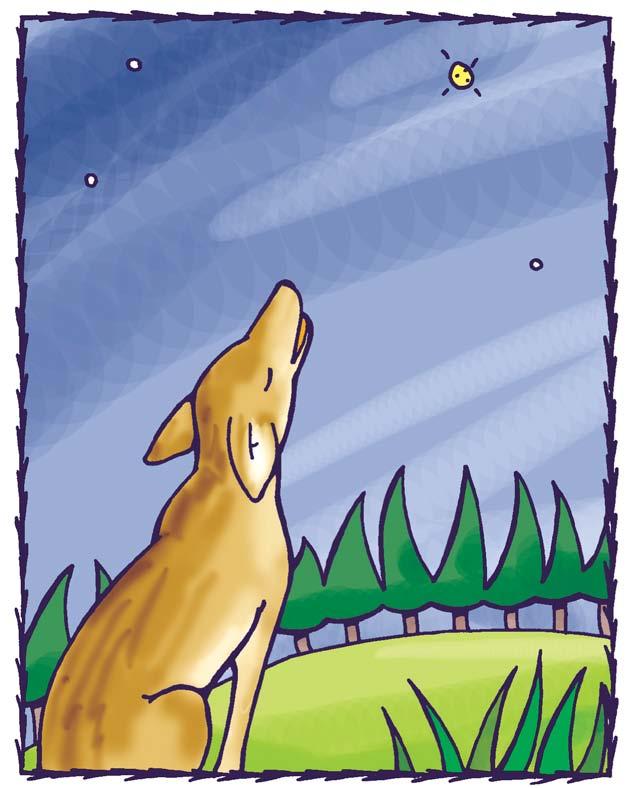 Coyote was in love with the star and talked to her night after night. But she would not respond to him.