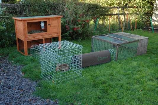 Another run and a box has been added to double Dexter s exercise area and make it more suitable for 2 rabbits. In time, more can be added, or a bigger run can be bought. This looks big enough now!