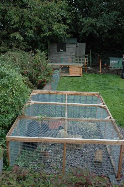 Another view of the 6ft hutch and 8ft run, with the tunnel system linking them.