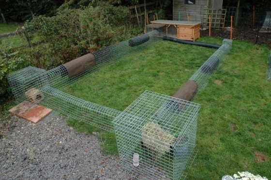 Rabbits love a circuit, this will keep them on the move and stimulated.