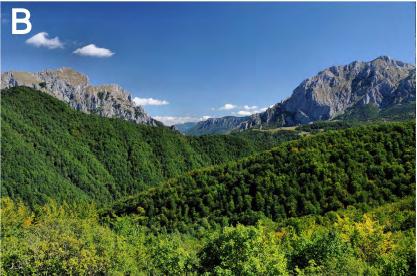 A Mediterranean habitat in Karaotok (Hutovo Blato). B Overall view on the region of Sutjeska.