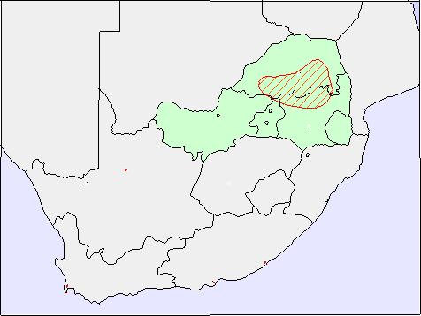 Advanced Snakes & Reptiles 15 Distribution: There is an isolated pocket in Mpumalanga where this species
