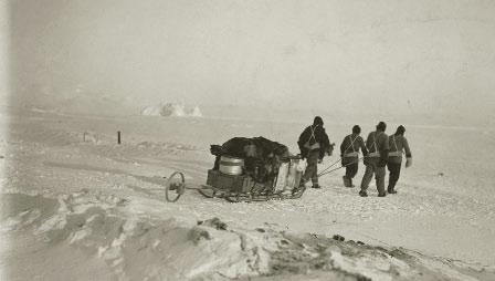 Sled Two Teams Start a Race In 1911, two teams of explorers started a race to the South Pole. Roald Amundsen was the leader of one team. Robert Scott was the leader of the other team.