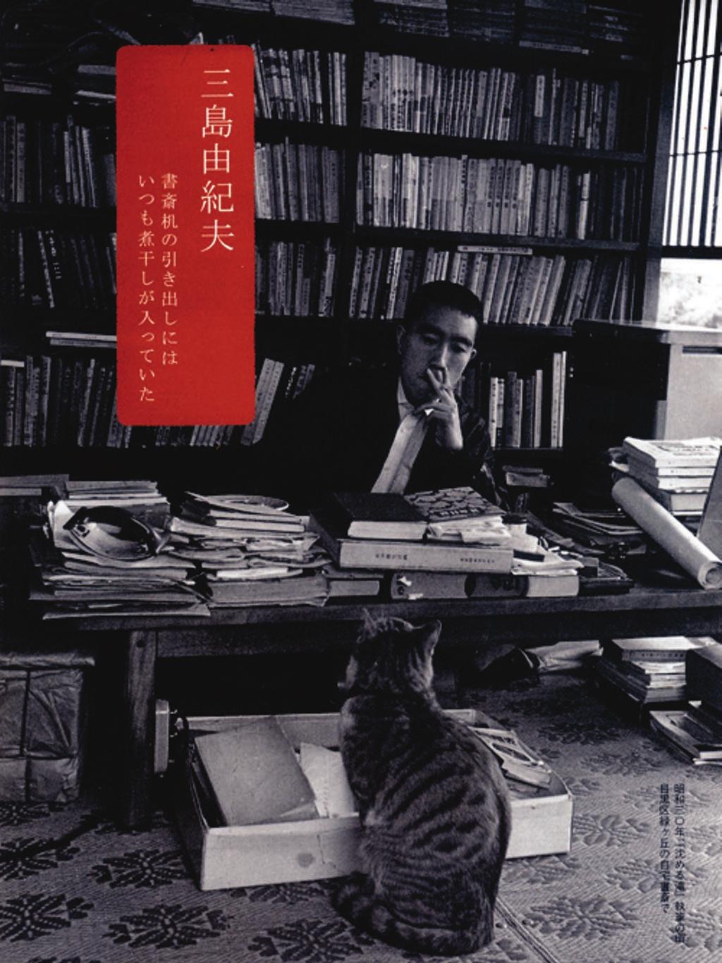 Chapter 4 Figure 4.7: Mishima and cat.