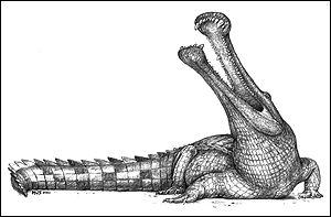 Reptiles: diapsids