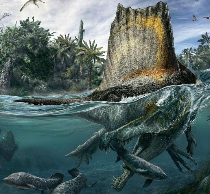 Spinosaurid theropods Davide