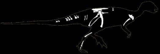 Antarctic Cretaceous dinosaurs Dinosauria Ornithischia