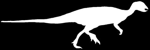Morrosaurus antarcticus Trinisaura santamartaensis Unidentified