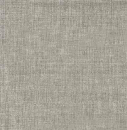 LINETTE TAUPE ROBUST