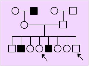 Using this pedigree, individuals with the arrows are A)