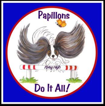 Papillons In Other Arenas Papillon Club