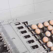This can be done on loader units of almost all egg grading, packing or processing machines in the market.