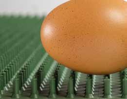 industry ensuring a gentle egg