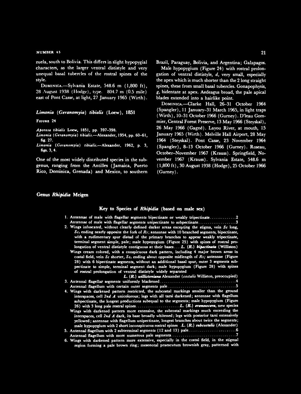 Limonia (Geranomyia) tibialis (Loew), 1851 FIOURE 24 Aporosa tibialis Loew, 1851, pp. 397-398. Limonia (Gtranomyia) tibialit. Alexander, 1954, pp. 60-61, fig. 27. Limonia (Ggranomyia) tibialis.