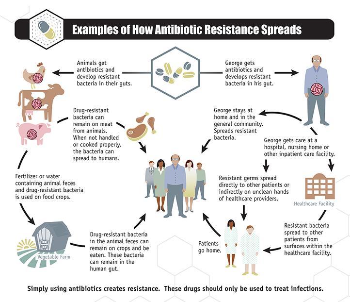 More About Resistance **Antibiotic