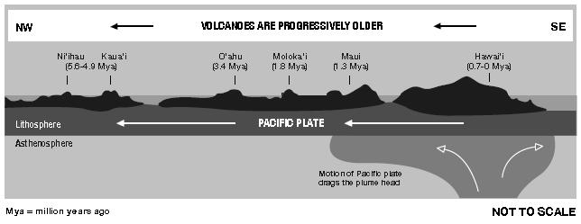 Geologists think that the Hawaiian Islands formed as the Pacific plate moved over a hotspot in Earth s crust, where molten rock from the mantle made its way to the surface, as shown below.