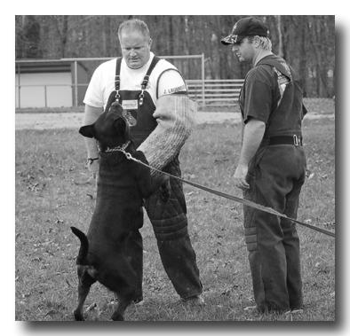I have worked and prepared multiple Rottweilers for Schutzhund trials and ZTP's.