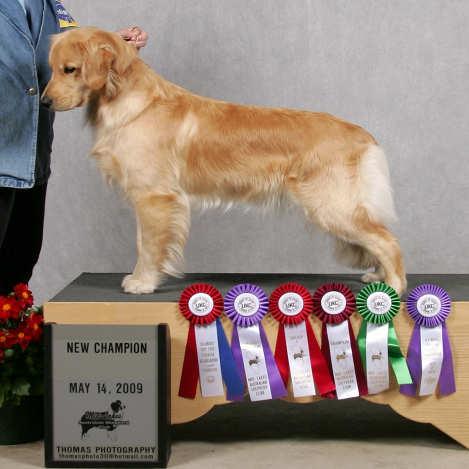 4 BRAGS I'd like to report our Charlee finished her UKC championship in Peoria at the Toy Fox Terrier Association/Mid-Lakes Aussie club cluster of shows.