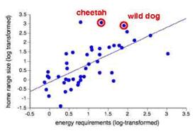 dogs and cheetah occupy home ranges larger than would be predicted on the basis of their energy needs (Figure 2.1). Figure 2.