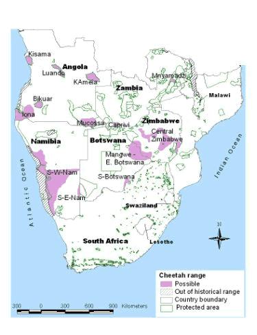 Figure 3.7 Areas of possible cheetah range which fall in ecoregions represented by fewer than three polygons of resident range. 3.3 Conclusions The geographical distribution of cheetah in southern Africa has contracted drastically in recent years.