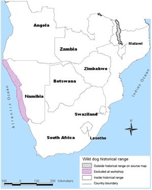 CHAPTER 4 THE DISTRIBUTION AND STATUS OF AFRICAN WILD DOGS WITHIN SOUTHERN AFRICA 4.1 Historical distribution In the past, wild dogs were broadly distributed across southern Africa.