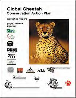 CHAPTER 6 STRATEGIC PLAN FOR CHEETAH AND WILD DOG CONSERVATION IN SOUTHERN AFRICA 6.