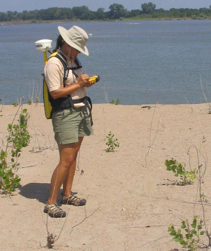 Monitoring of the endangered least tern on the Missouri River has been conducted since 1986.