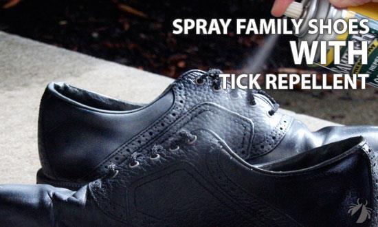 Don t Forget Shoes & Gear Don t forget backpacks, hats, bandanas, camp chairs, tents, sleeping bags, or other fabric items that could be exposed. Spray all your family s shoes with tick repellent!
