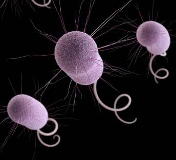 MULTIDRUG-RESISTANT PSEUDOMONAS AERUGINOSA 6,700 440 THREAT LEVEL SERIOUS This bacteria is a serious concern and requires prompt and sustained action to ensure the problem does not grow.