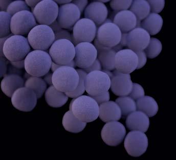 VANCOMYCIN-RESISTANT STAPHYLOCOCCUS AUREUS 13 CASES 4 STATES SINCE 2002 IN THREAT LEVEL CONCERNING This bacteria is concerning, and careful monitoring and prevention action are needed.