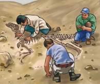 read about and discuss dinosaur discoveries Lesson 1 Amazing