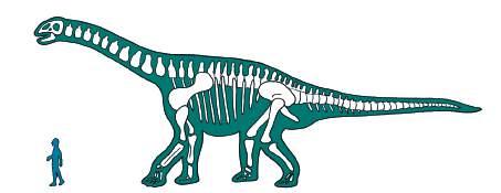 Lesson 9 A dinosaur poem 60 1 Read and listen Read and listen to the poem Unfortunately. Memorise the poem and say it with your partner.