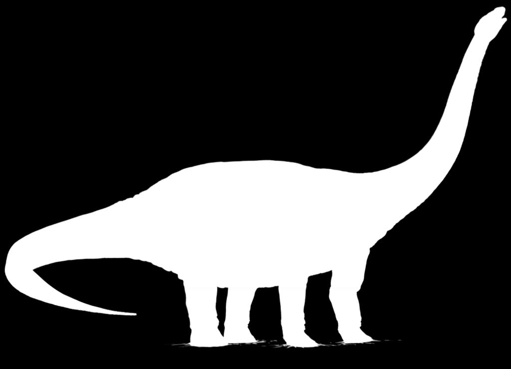 This dinosaur is called Diplodocus and it weighed the same as five elephants. It couldn t run fast.