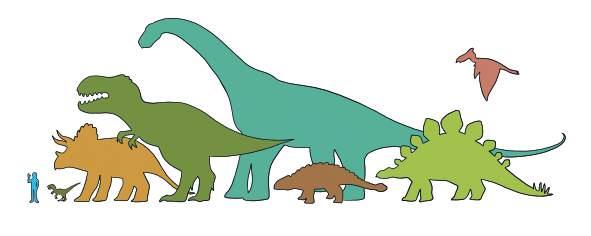 Lesson 7 Dinosaur footprints 1 Talk about it Look at the picture showing different dinosaur sizes compared with a human. Discuss the different sizes.