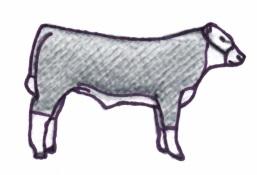 Area Beef (Breeding) Goat (Meat Breeding) Goat (Dairy Breeding) Horse (Breeding)