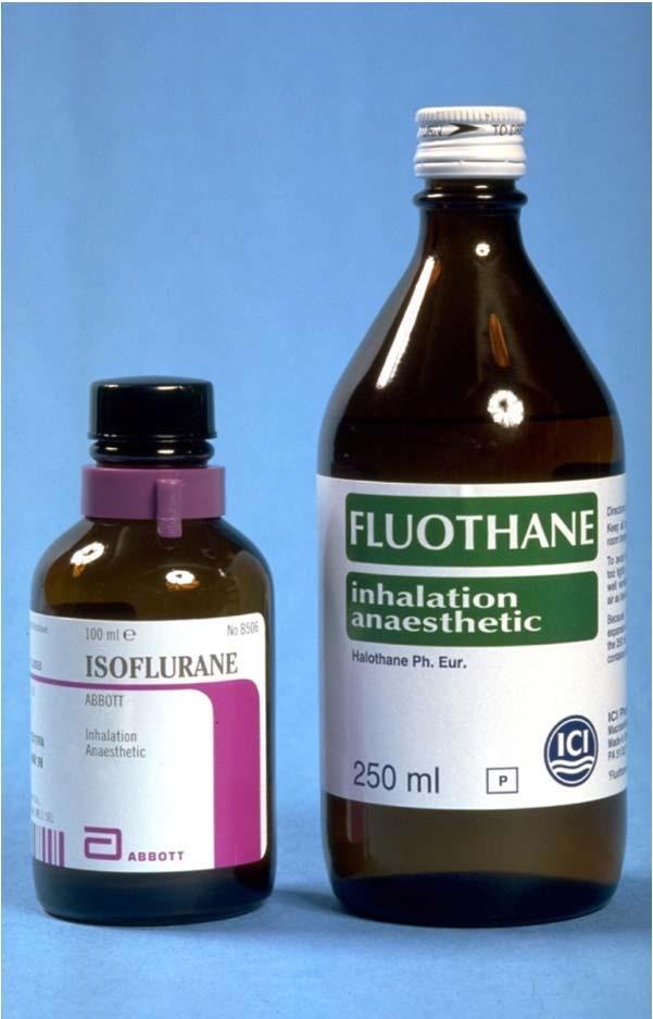 Inhalants Isoflurane Requires a precision vaporizer Rapid induction & recovery (~2 minutes) Rodents are induced in chambers and then masked