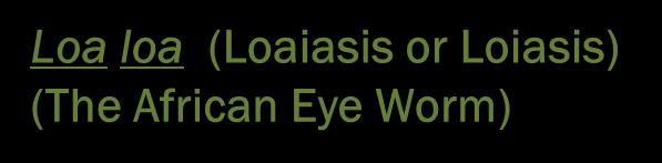 Loiasis) (The African Eye Worm) Distribution: West and Central parts of tropical Africa.