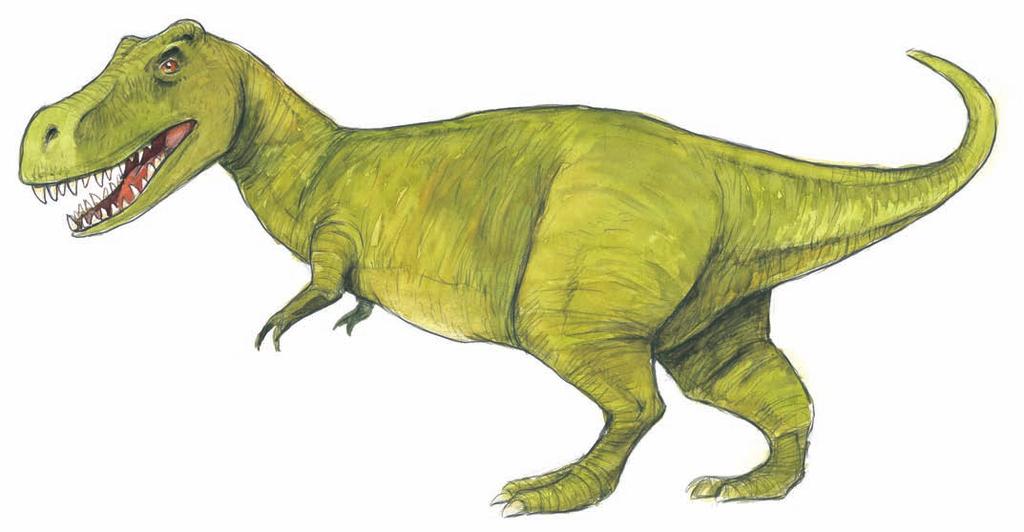 30-31 No other dinosaur had such a large powerful skull. It could reach 3 meters long. Its binocular vision provided it with a broad field of vision. Its neck was curved in an S-shape.